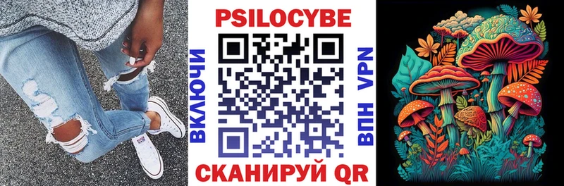 ссылка на мегу ссылки  наркотики  Моздок  Галлюциногенные грибы Psilocybe 